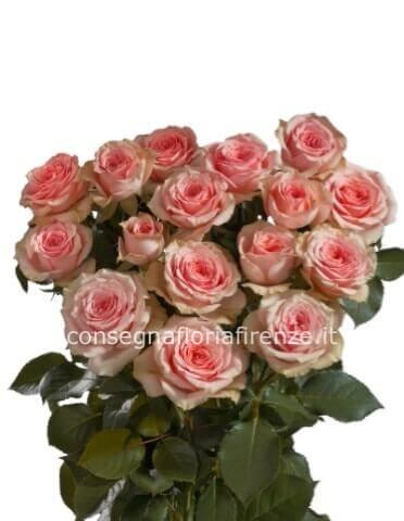 Rose rosa a steli, prima scelta, lunghezza 60/70 cm