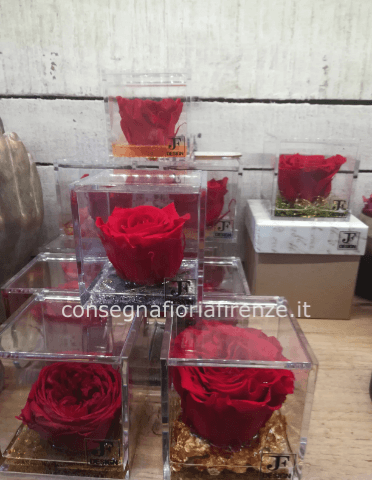 Rosa rossa Stabilizzata in scatolina di plexiglass